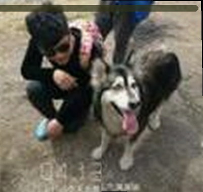 吴敏
